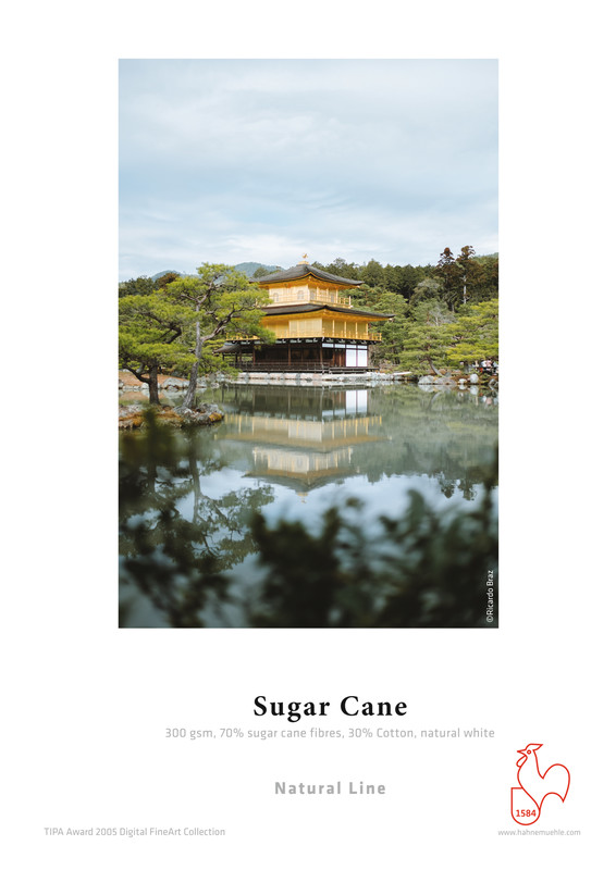 Inkjet Sugar Cane / 300g / A2 / 25 Blatt