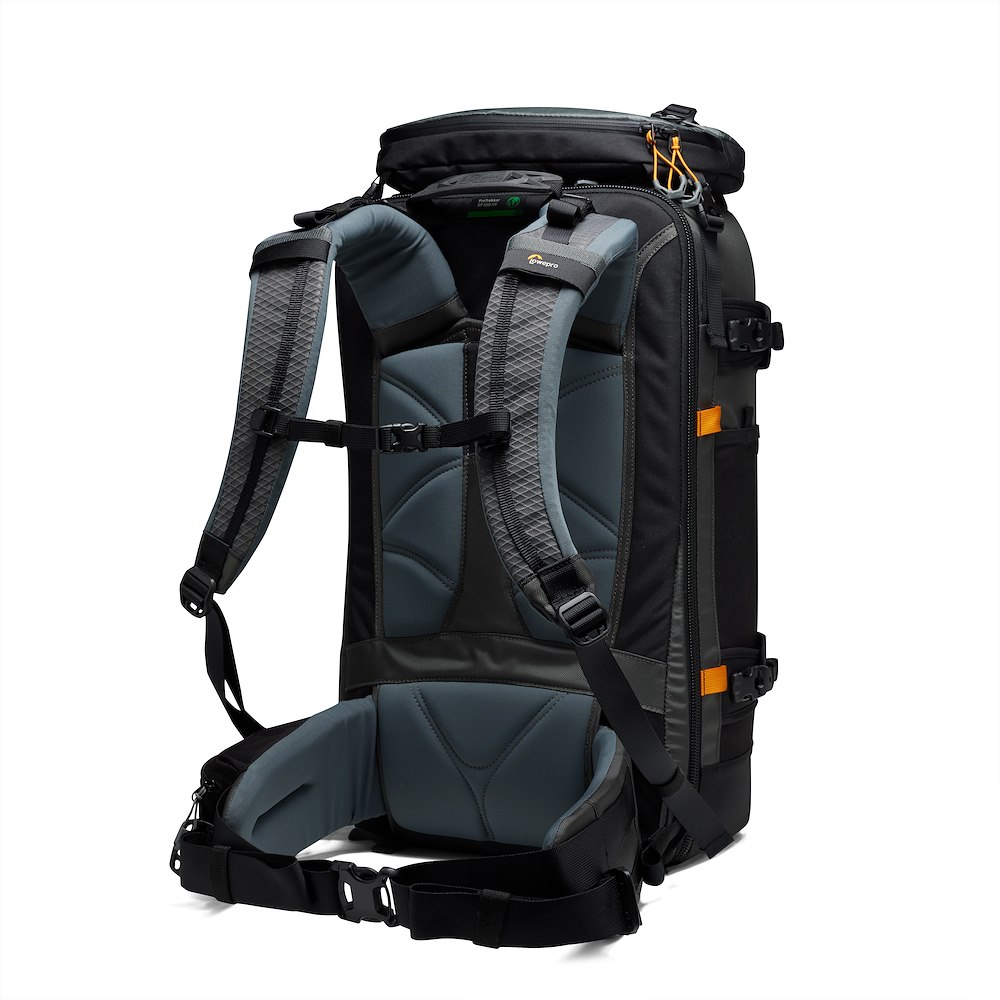 Lowepro Pro Trekker BP 650 AW II – Rückansicht mit gepolstertem Rückenteil, Schultergurten und verstellbarem Hüftgurt
