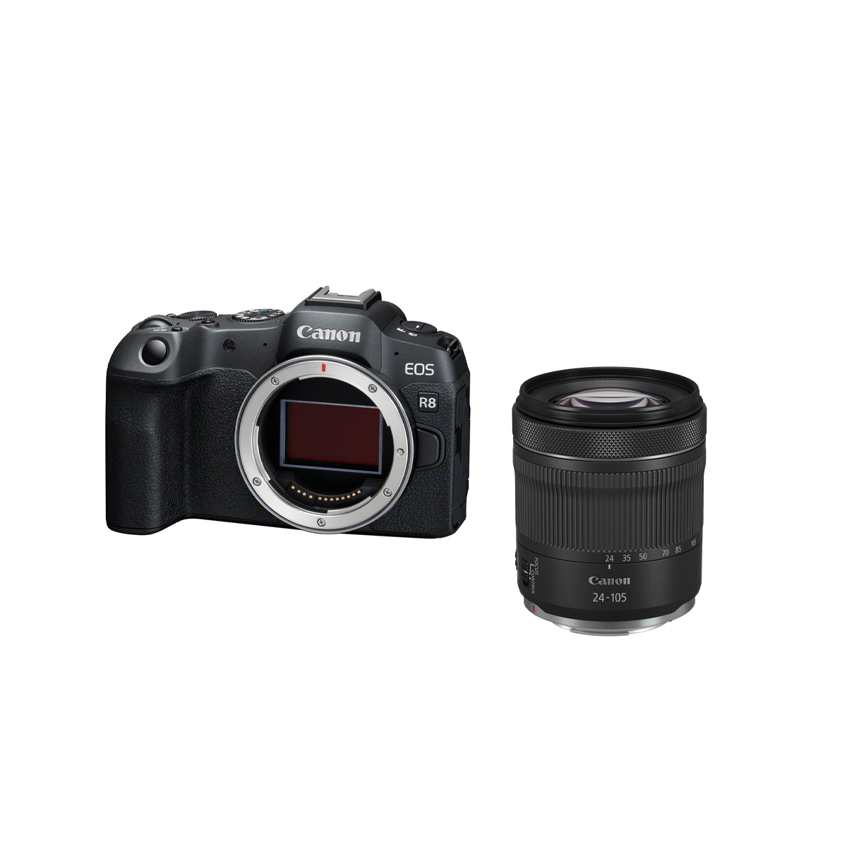 EOS R8 + RF 24-105mm F4-7.1 IS STM EOS R8 + RF 24-105mm F4-7.1 IS STM