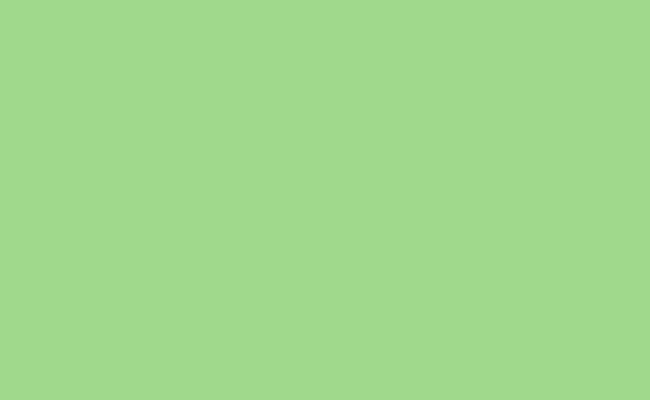 Hintergrundkarton 2.72x11m (Spring Green) Hintergrundkarton 2.72x11m (Spring Green)