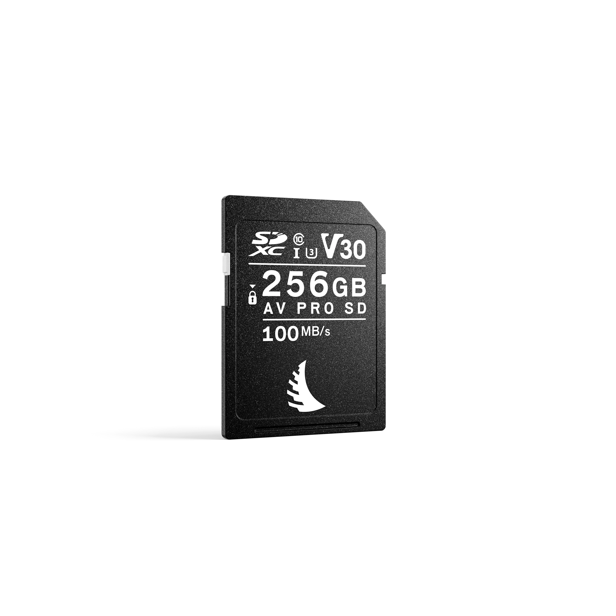 AV Pro SD 256GB V30