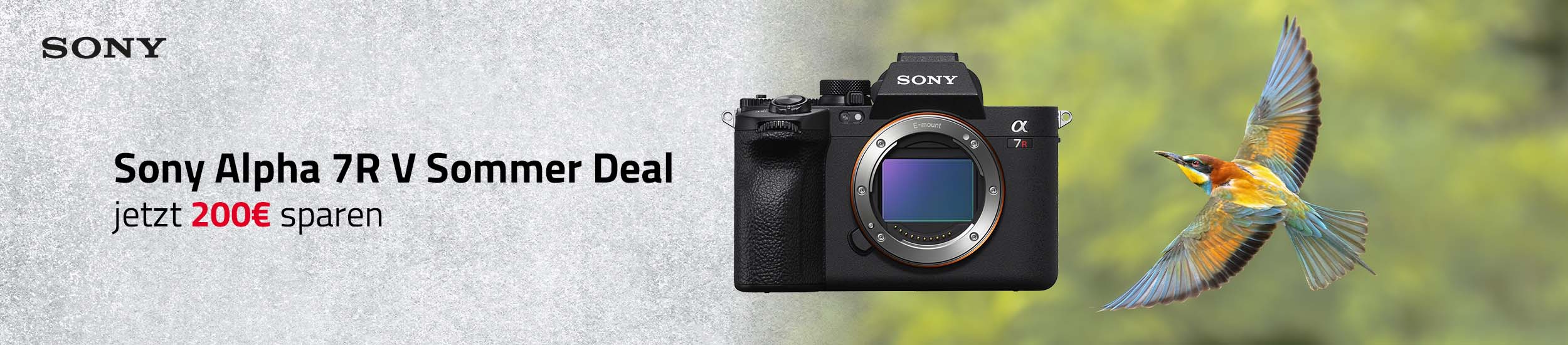 Sony Alpha 7R V Sommer Deal – 200€ Rabatt auf die Alpha 7R V