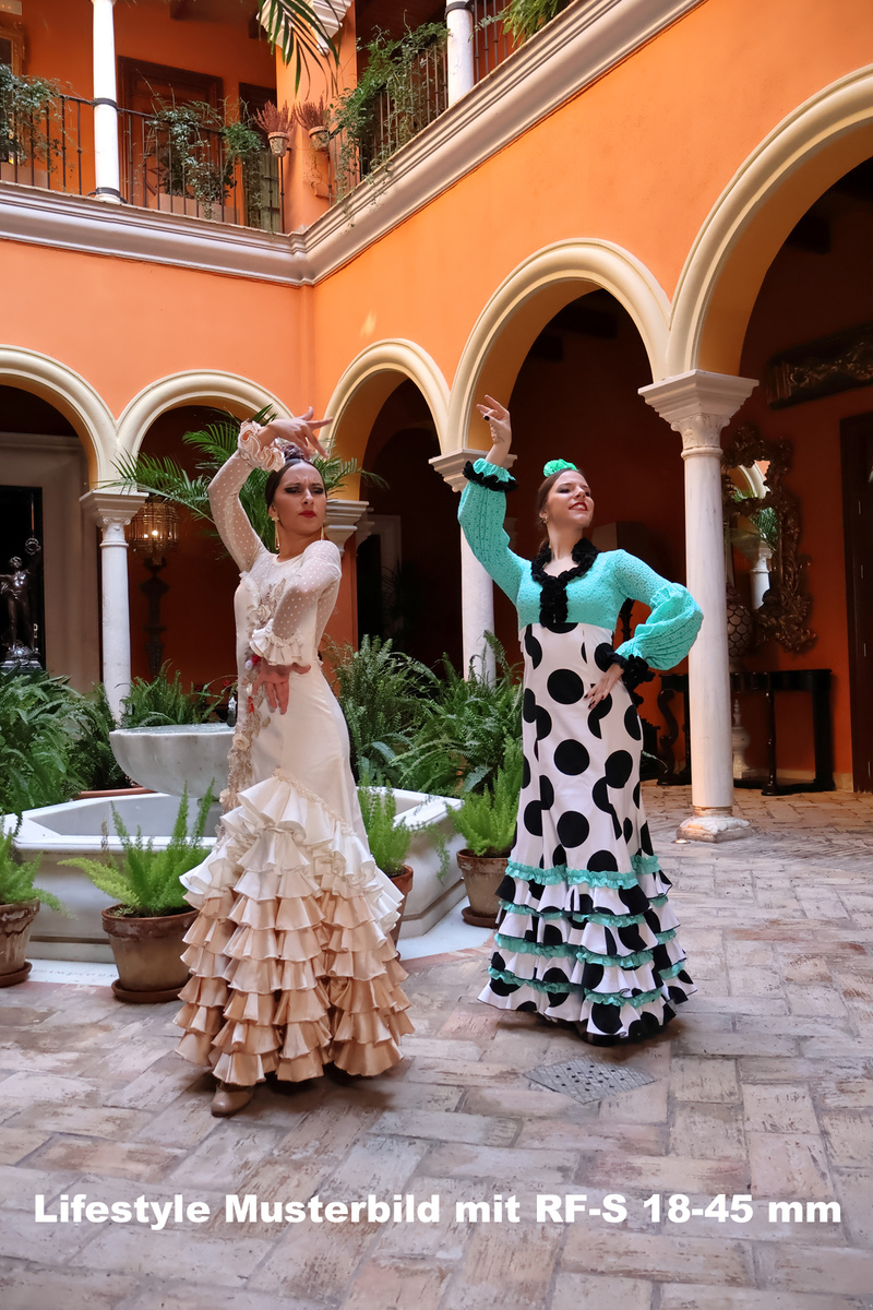 RF-S 18-45mm F4.5-6.3 IS STM RF-S 18-45mm F4.5-6.3 IS STM