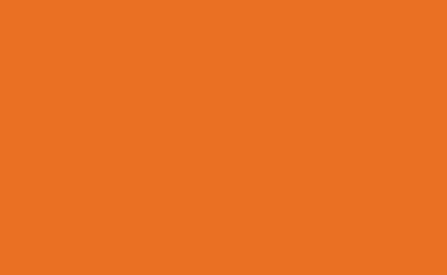 Hintergrundkarton 2,75x11m (Tangerine)