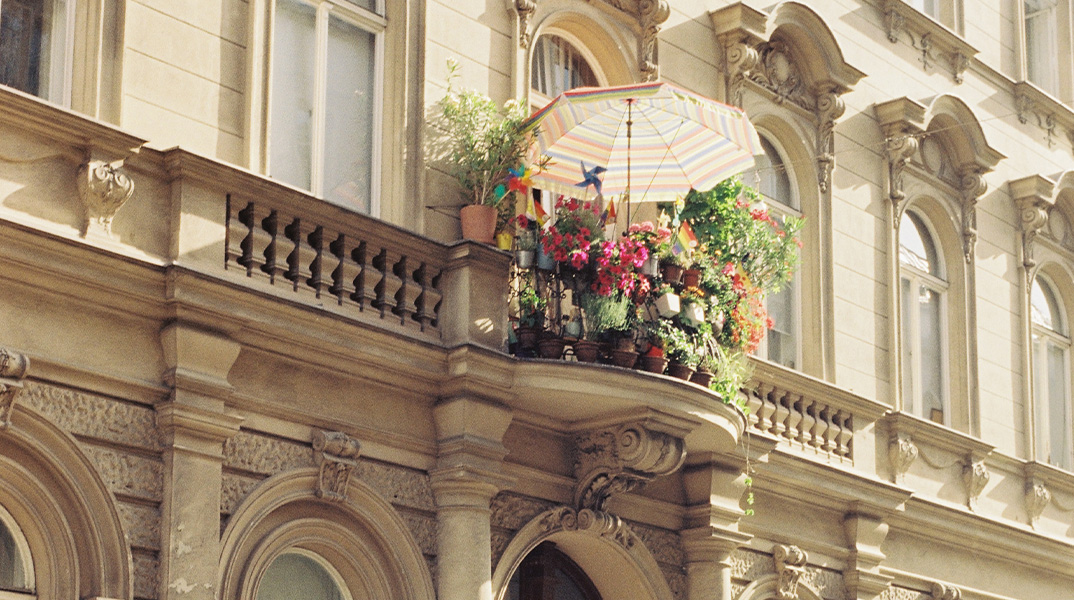 Analogfotografie - Sehen Messen, Vertrauen - mit Alexander Mailänder