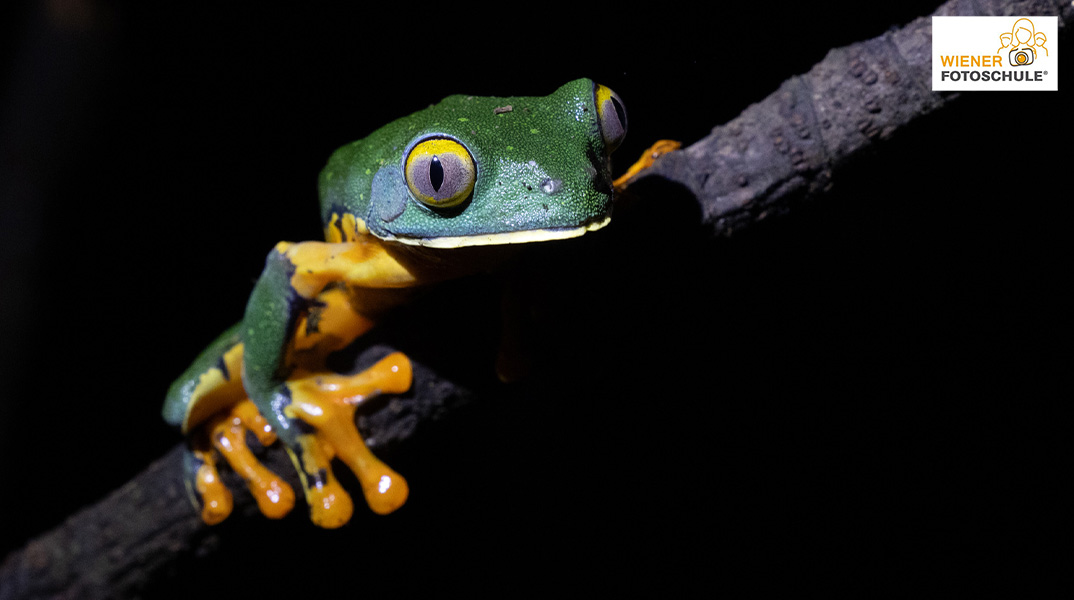 Costa Rica - mit Bernhard Brenner 