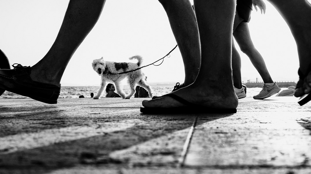 Streetfotografie Day Edition - mit Sascha van der Werf