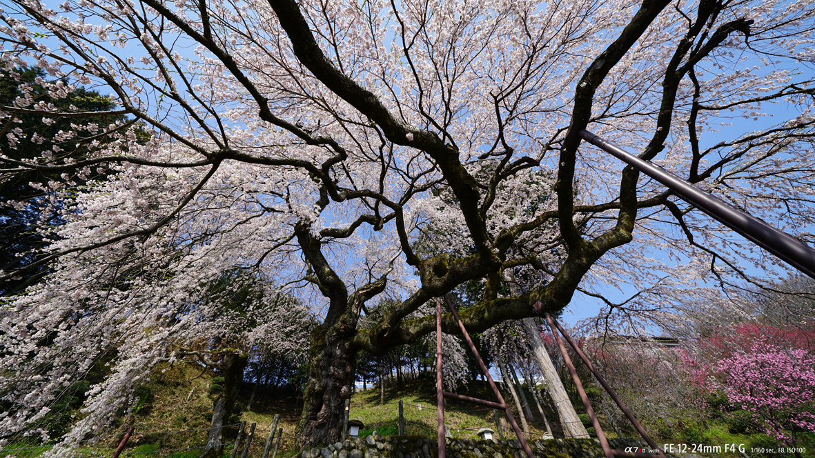 FE 12-24mm F4.0 G FE 12-24mm F4.0 G