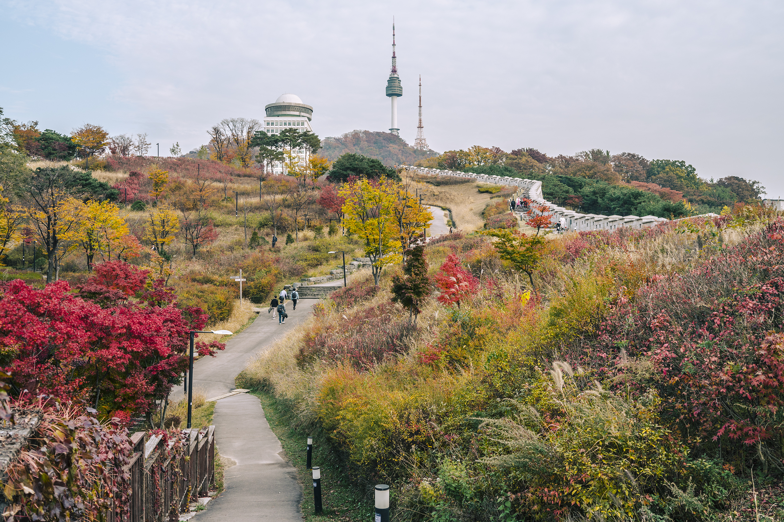 Contemporary 35mm F2 DG DN – Sony E-Mount Contemporary 35mm F2 DG DN – Sony E-Mount