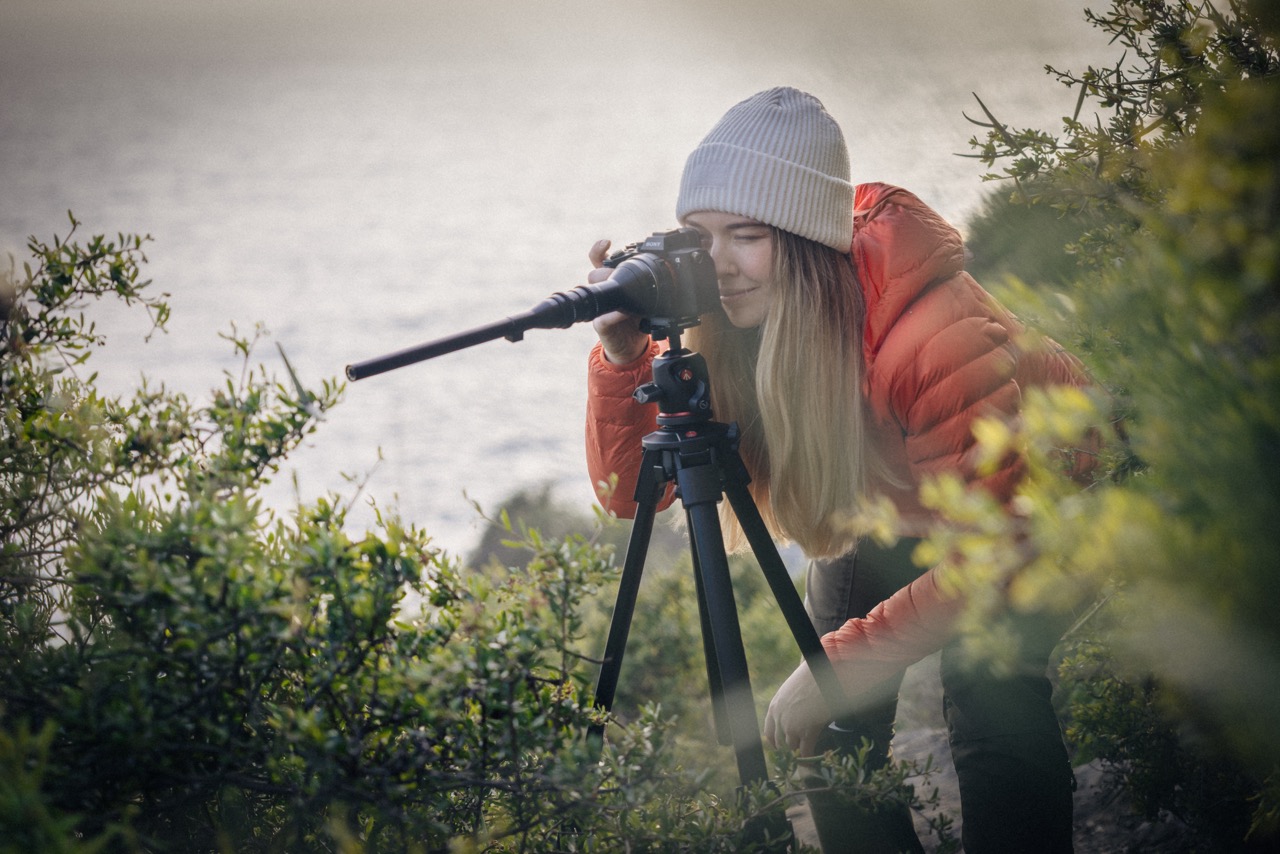 Manfrotto ONE Stativ mit Kamera bei Teleaufnahme in der Natur zwischen Sträuchern