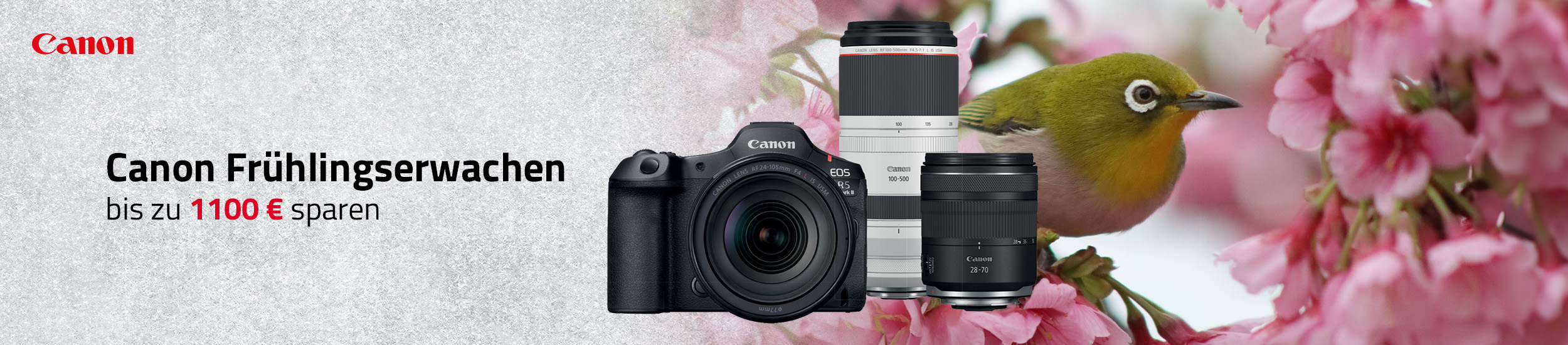 Canon Frühlingserwachen 2026 – spiegellose Kamera mit zwei Objektiven vor Blüten und Vogelmotiv