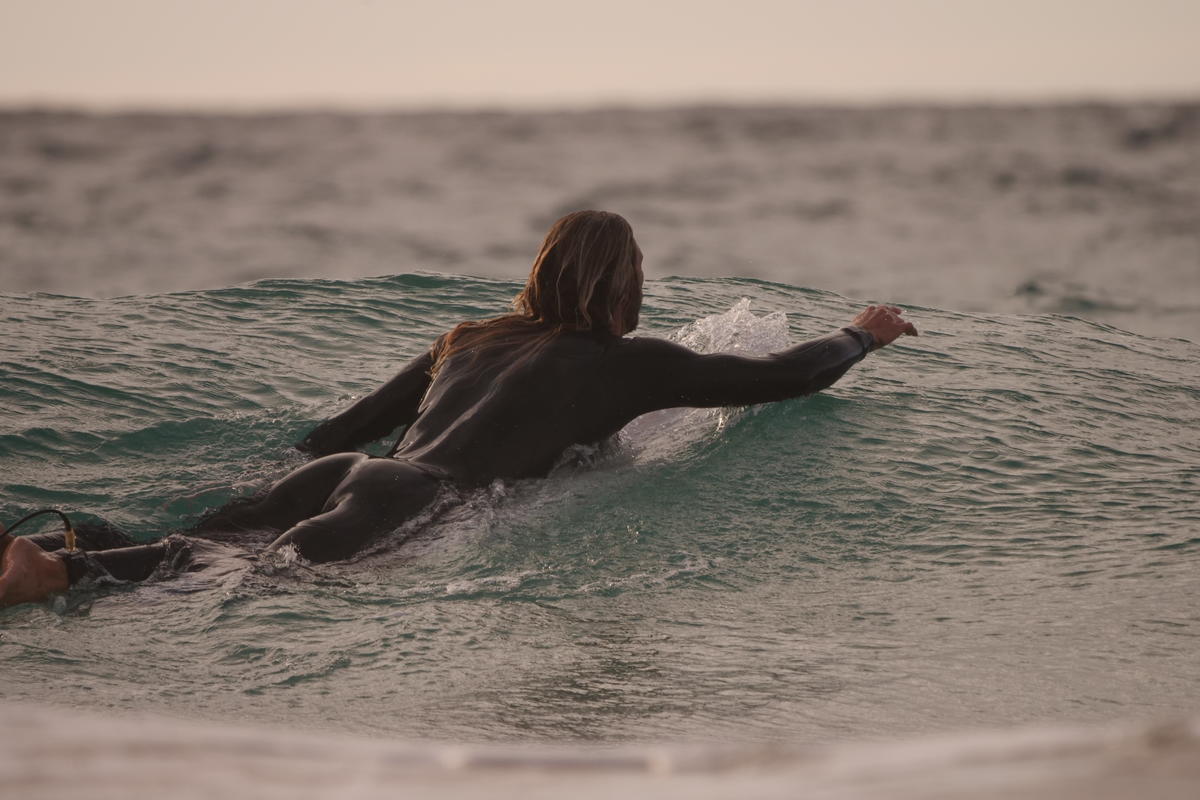 Lumix DC-S1 Gehäuse