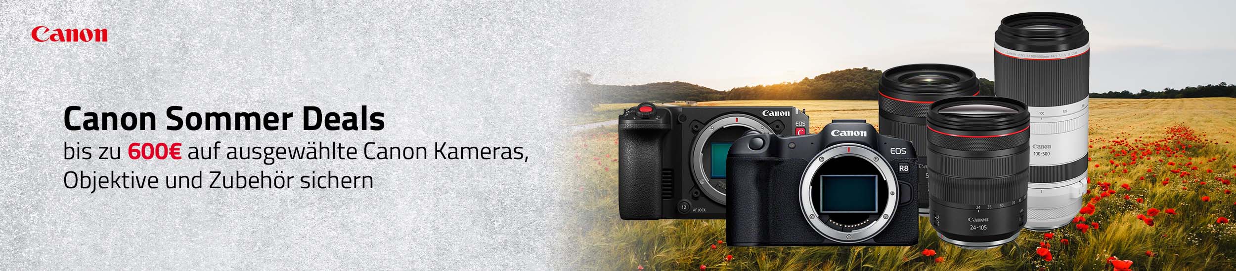 Canon Sommer Deals – Sofortrabatt auf EOS R Kameras sichern!