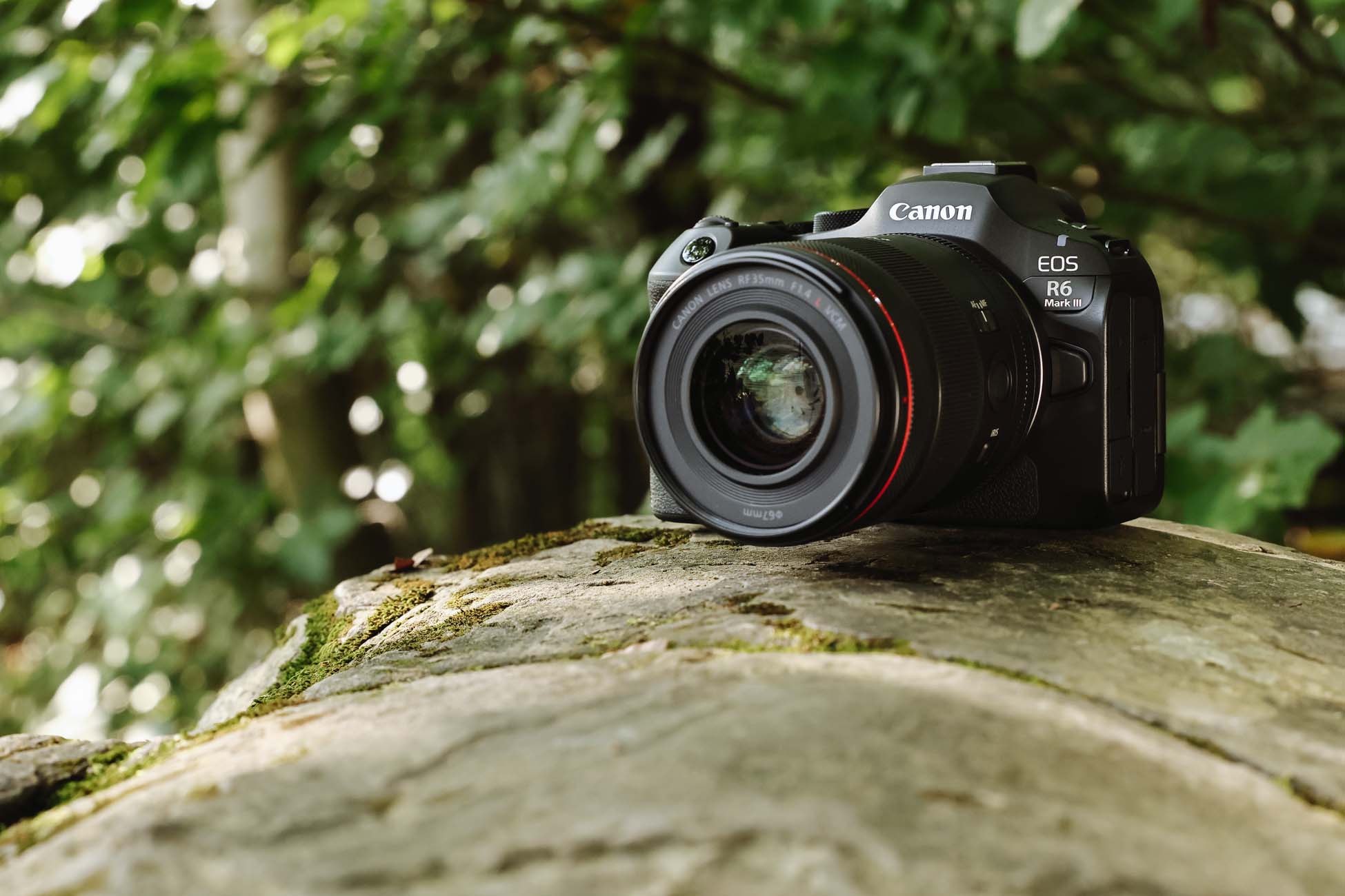 Canon EOS R6 Mark III schräg von vorne mit Objektiv auf Steinoberfläche in natürlicher Umgebung