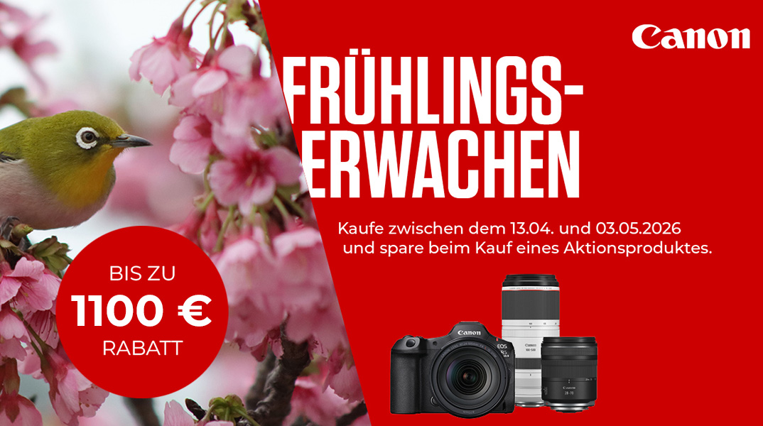 Canon Frühlingserwachen 2026 – Kamera und Objektive vor Kirschblüten mit Vogel und Aktionshinweis