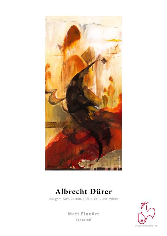 Albrecht Dürer 210g / A4 / 25 Blatt Albrecht Dürer 210g / A4 / 25 Blatt