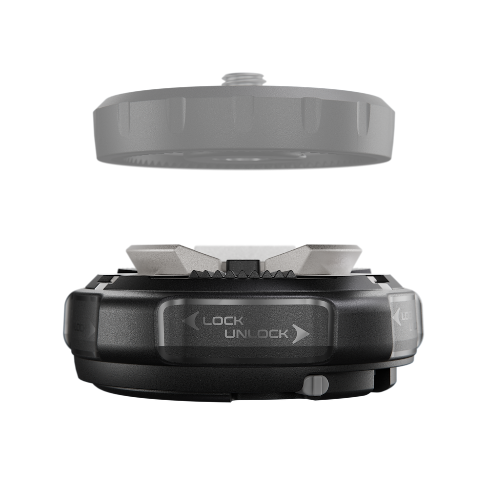 Xchange Basis Xchange Basis