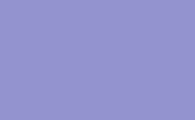 Hintergrundkarton BD133 2,75x11m (Violet) Hintergrundkarton BD133 2,75x11m (Violet)