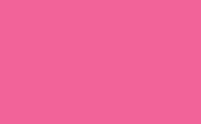 Hintergrundkarton 2,75x11m (Hot Pink)