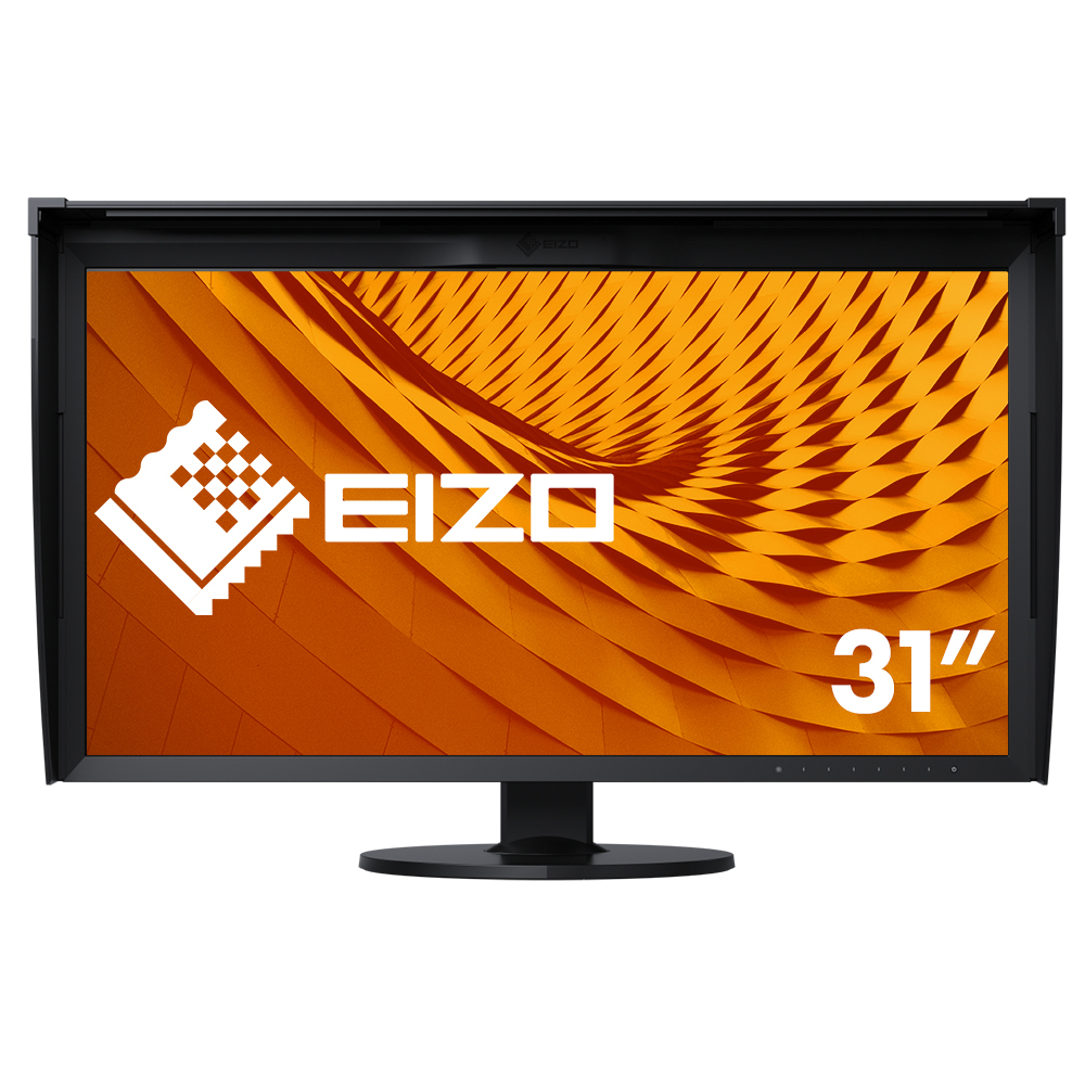CG319X LCD-Monitor 31''