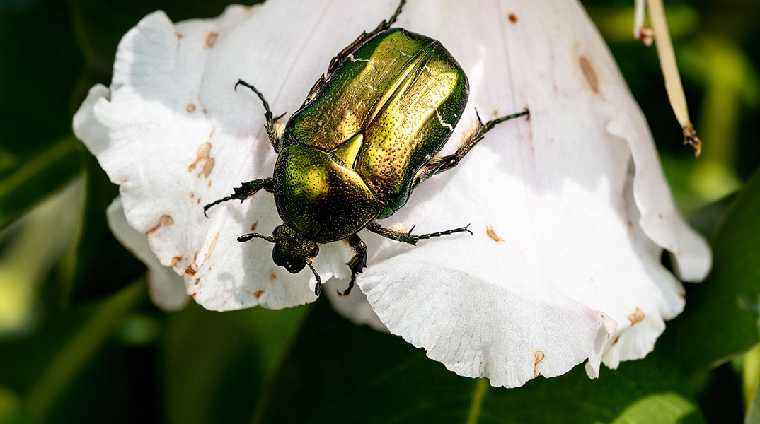 Digitale Fotografie Fortgeschrittene Klagenfurt - mit Alexander Mailänder