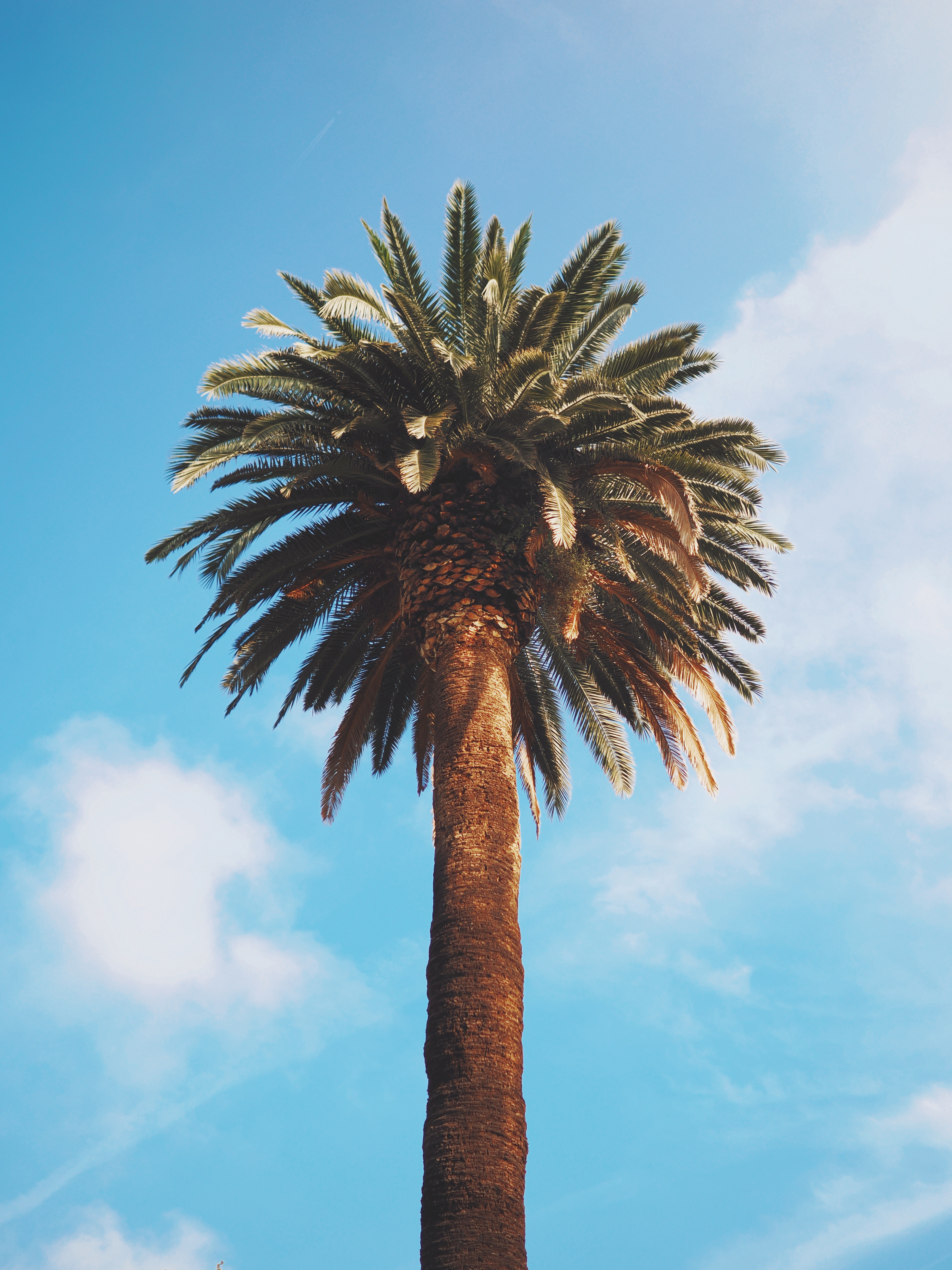 M.Zuiko 17mm F1.8 II M.Zuiko 17mm F1.8 II