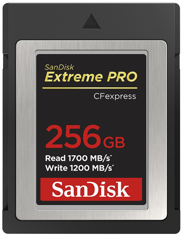 Extreme PRO CFexpress Card 256GB Type B