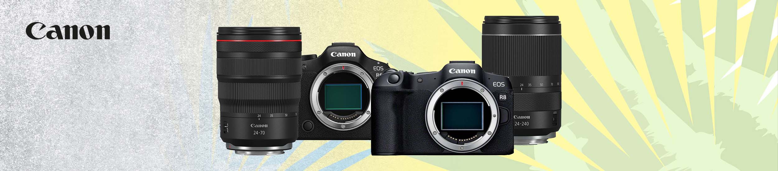 Canon Angebote bei den Digitalstore Sommer Deal Days – Systemkameras und Objektive reduziert