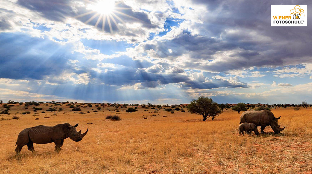 Namibia im Bann des Lichts - mit Karl Füsselberger