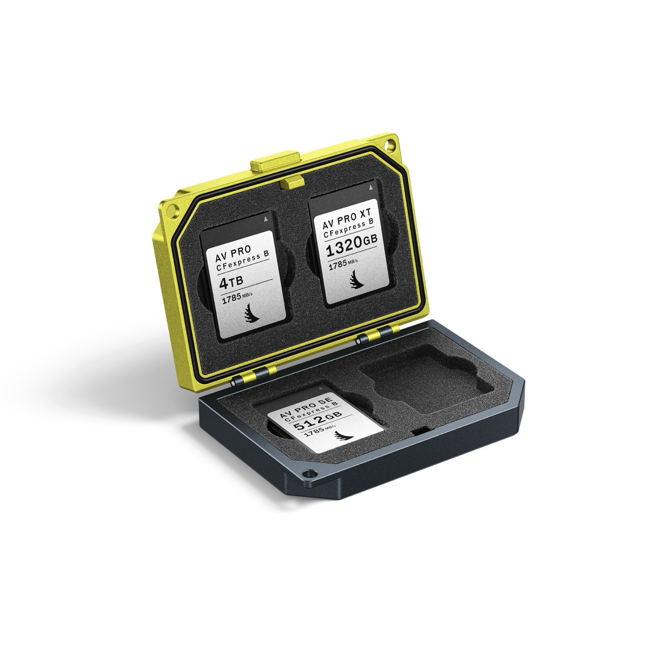 CFexpress B Media Tank Angelbird Media Tank für CFExpress Typ B Speicherkarten, offen stehend mit Speicherkarten