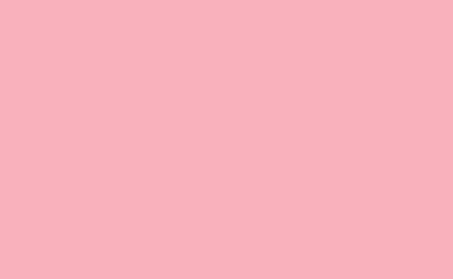 Hintergrundkarton 2.72x11m (Pastel Pink) Hintergrundkarton 2.72x11m (Pastel Pink)