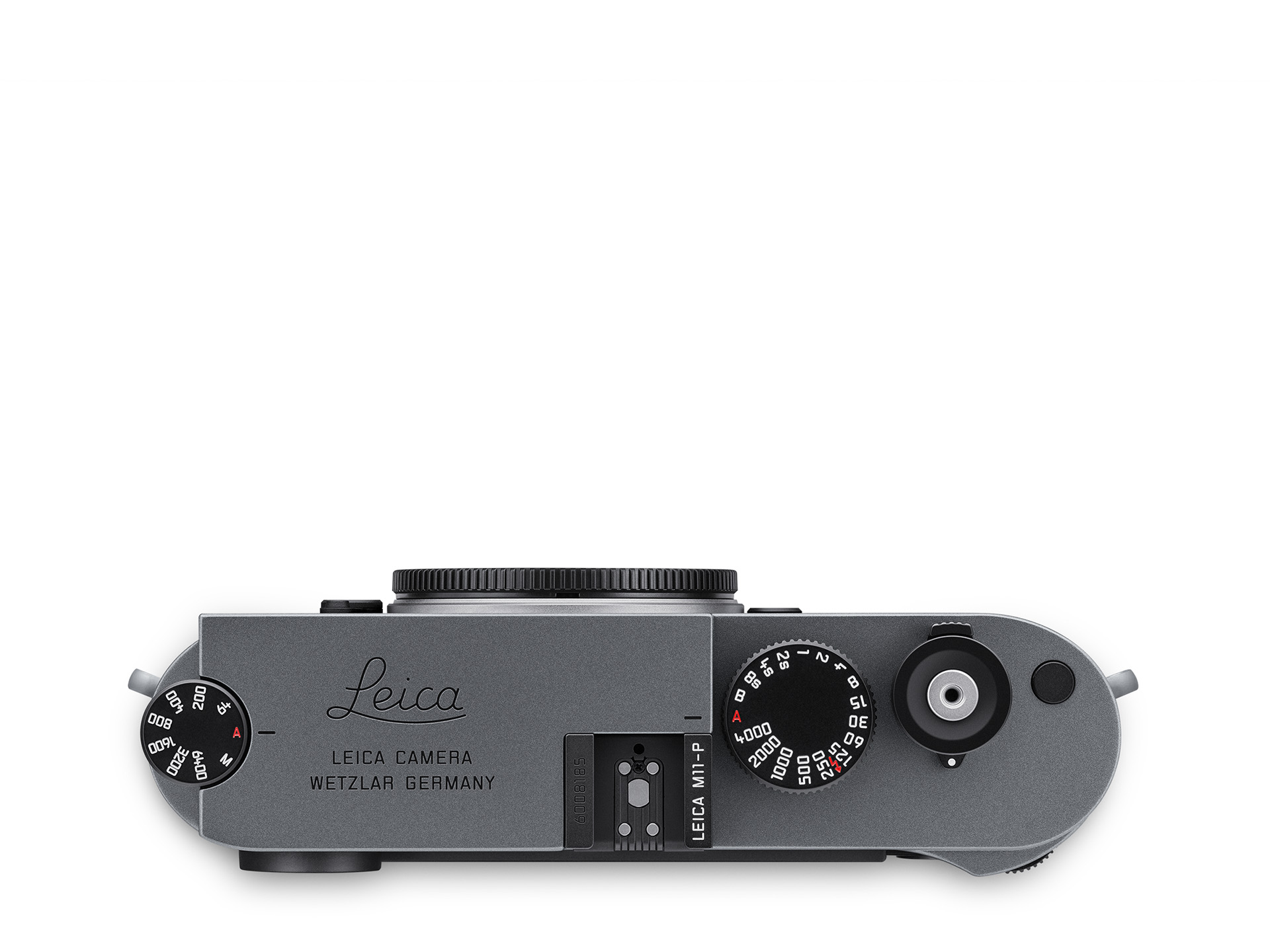raufsicht der Leica M11-P in Metal Gray mit Einstellrädern und Blitzschuh