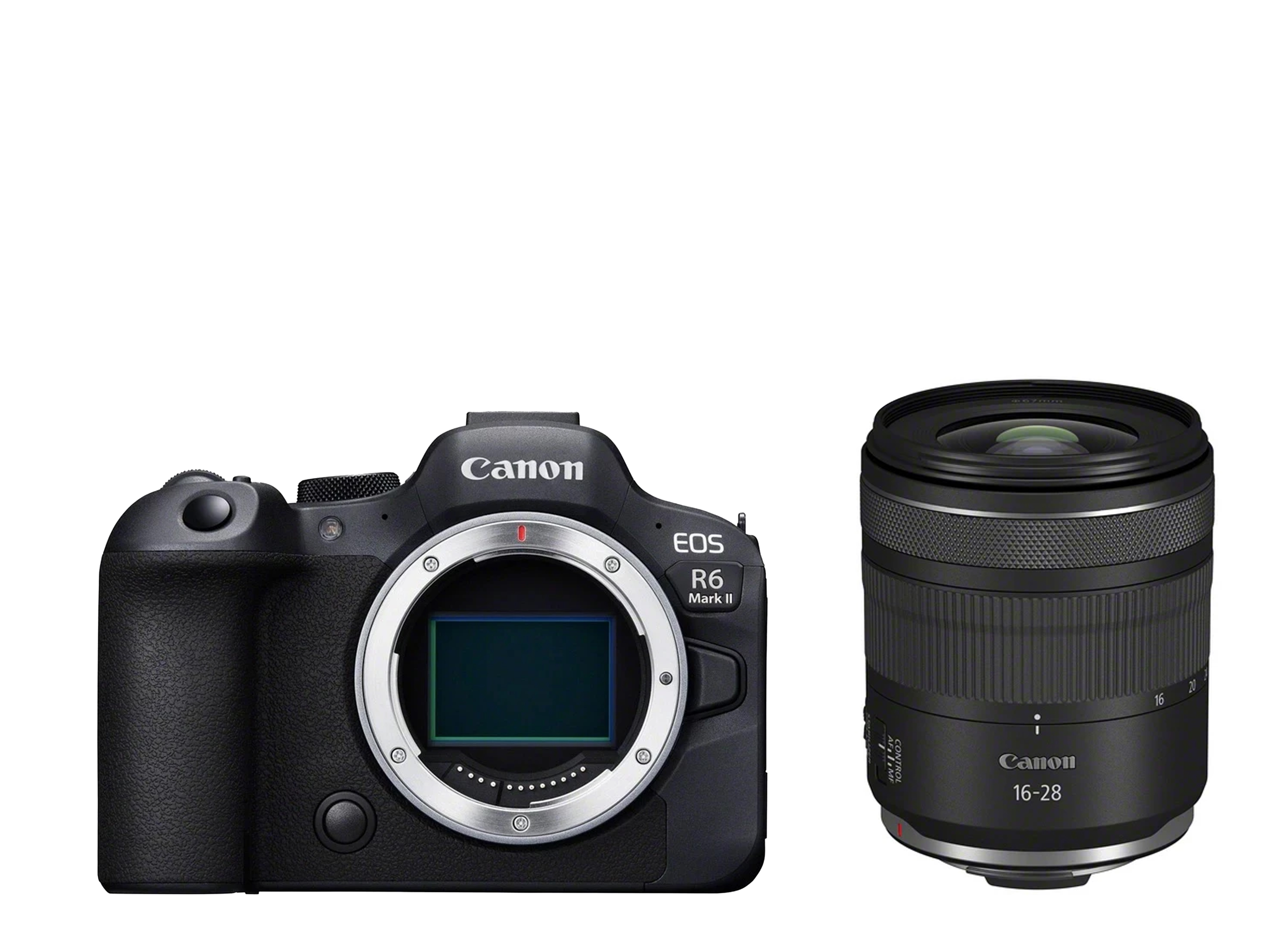 EOS R6 Mark II + RF 16-28mm F2.8 IS STM
