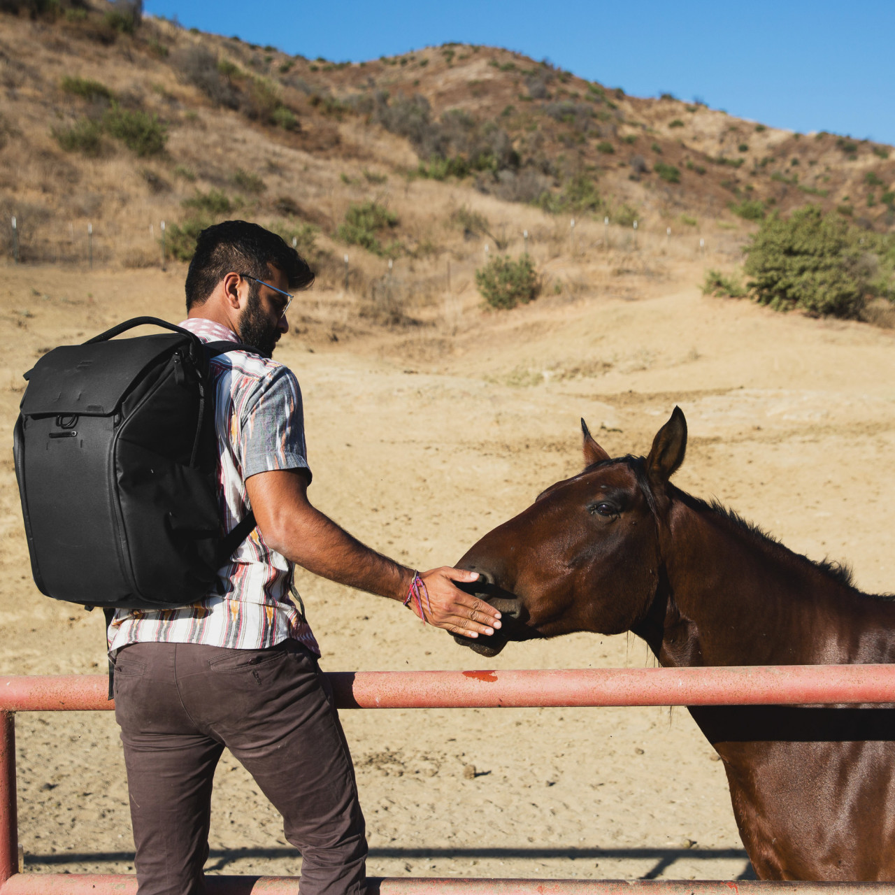 Everyday Backpack 30L V2 (Schwarz) Peak Design Everyday Backpack 30L V2 in Schwarz, Lifestyle Bild mit Pferd