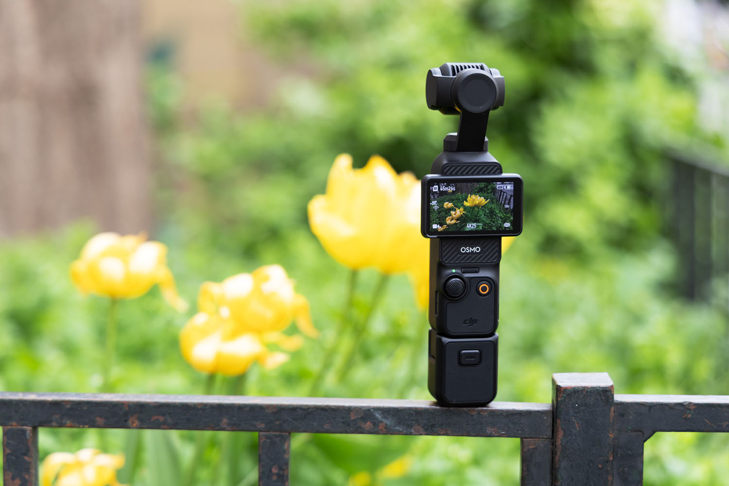 DJI Osmo Pocket 3 auf Geländer platziert, Vorderansicht mit Display vor unscharfem Blumenhintergrund