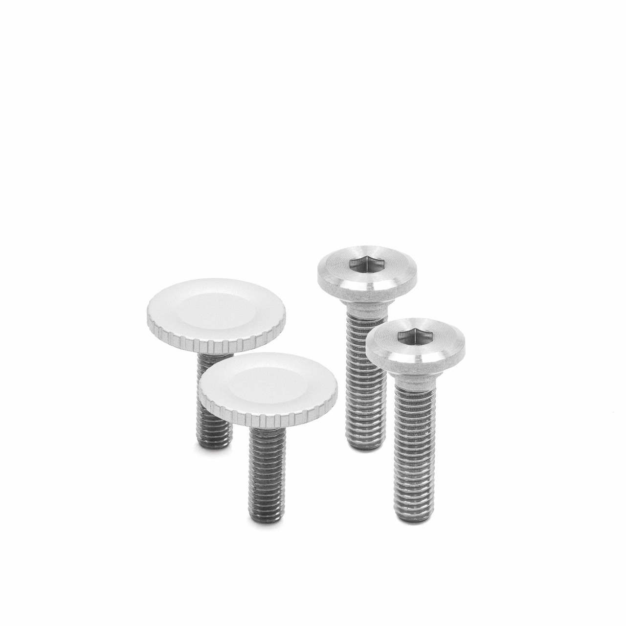 Capture Camera Clip v3 (Silber) Capture Camera Clip v3 (Silber)