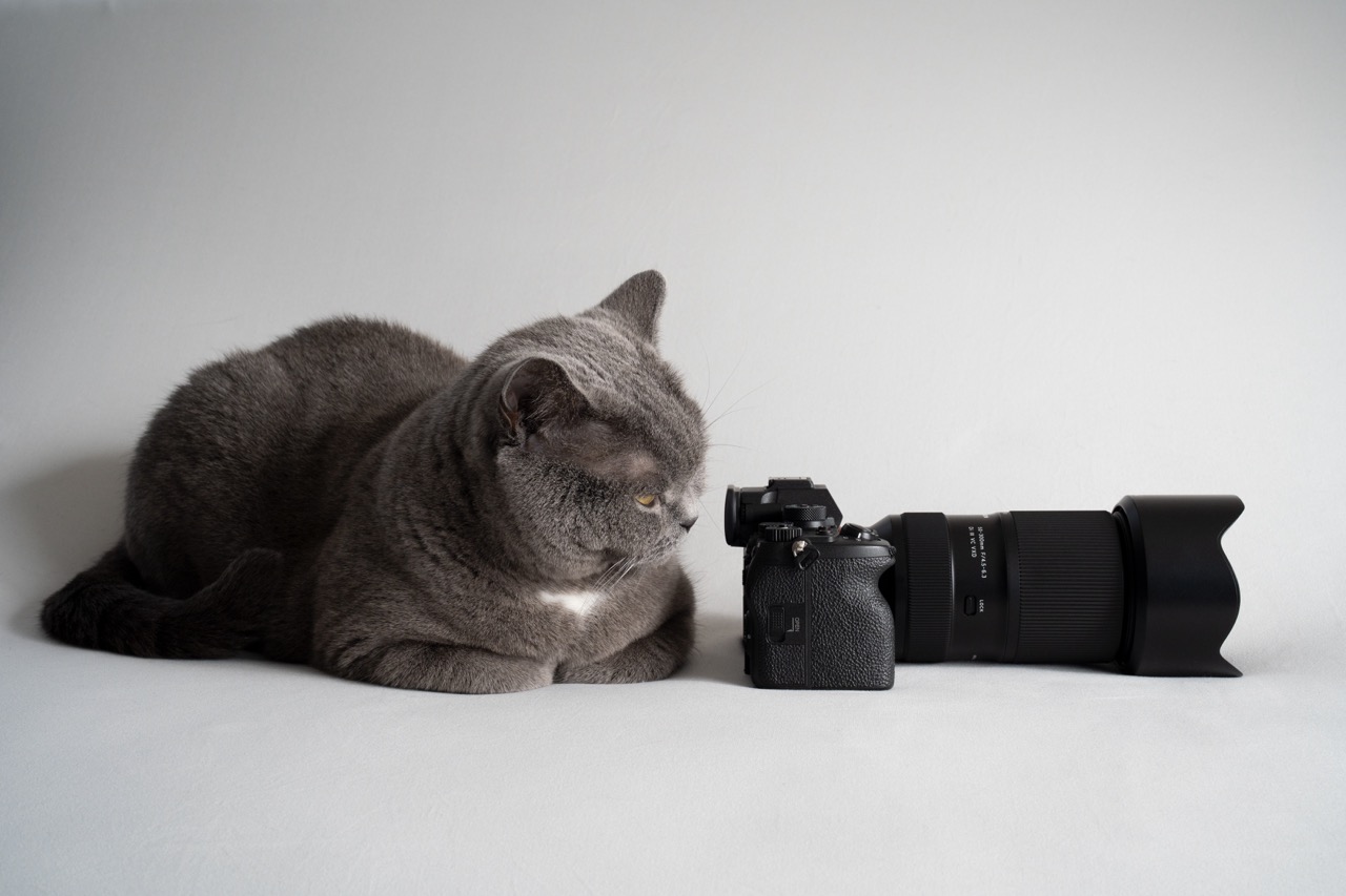 50-300mm F4.5-6.3 Di III VC VXD – Sony E-Mount Tamron 50-300mm F4.5-6.3 Di III VC VXD Telezoomobjektiv, Lifestyle Bild mit Katze